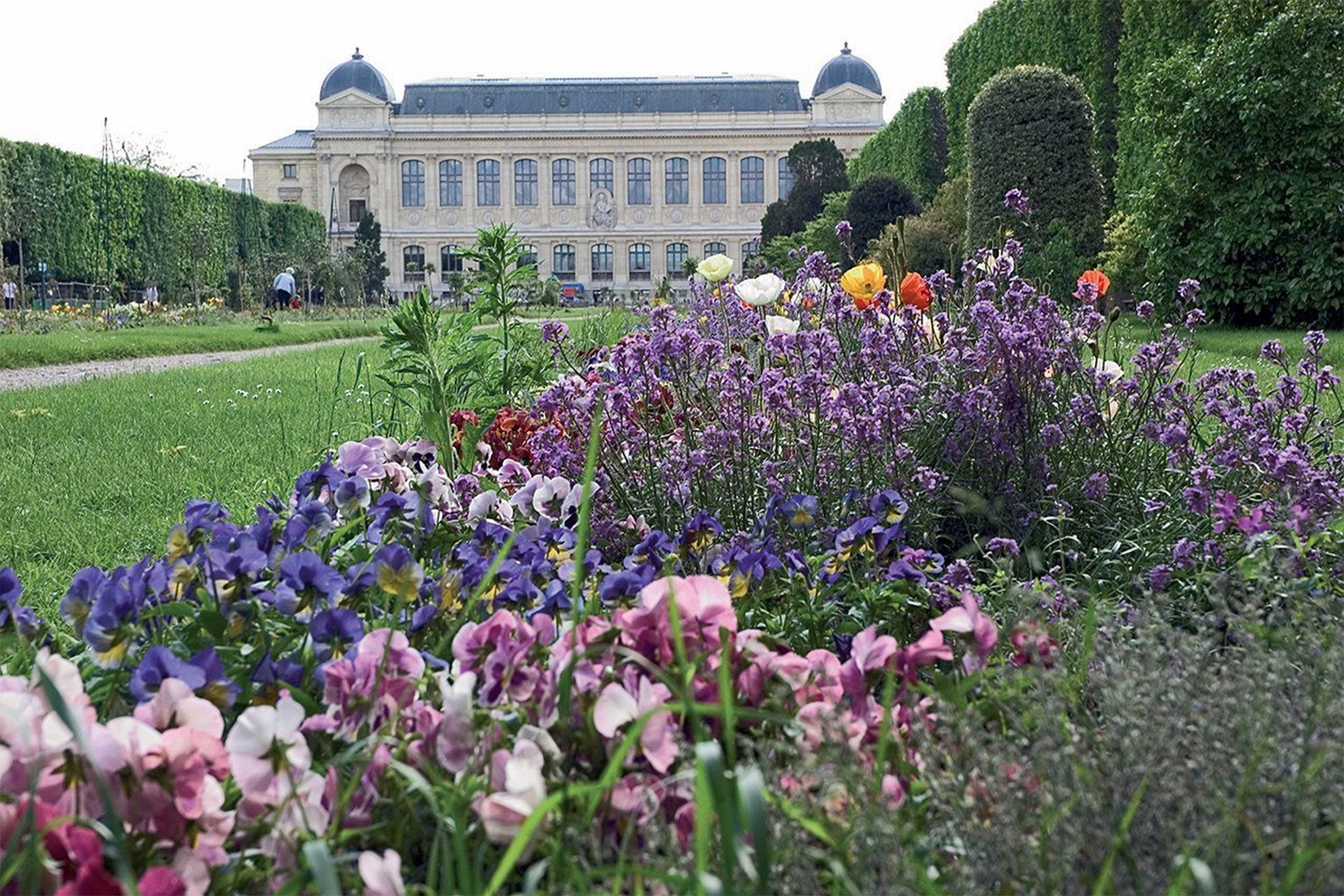 Libertel Austerlitz Jardin Des Plantes Hotel Parigi